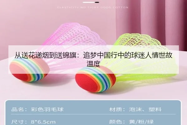 从送花递烟到送锦旗：追梦中国行中的球迷人情世故温度